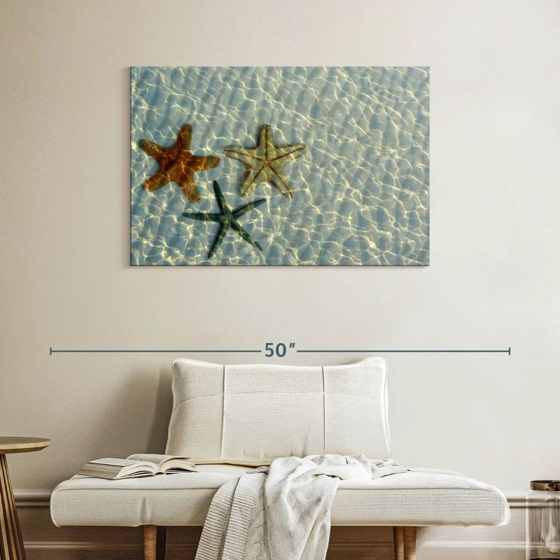 Trio d'étoiles de mer Brampt, H 26 po x l 39 po