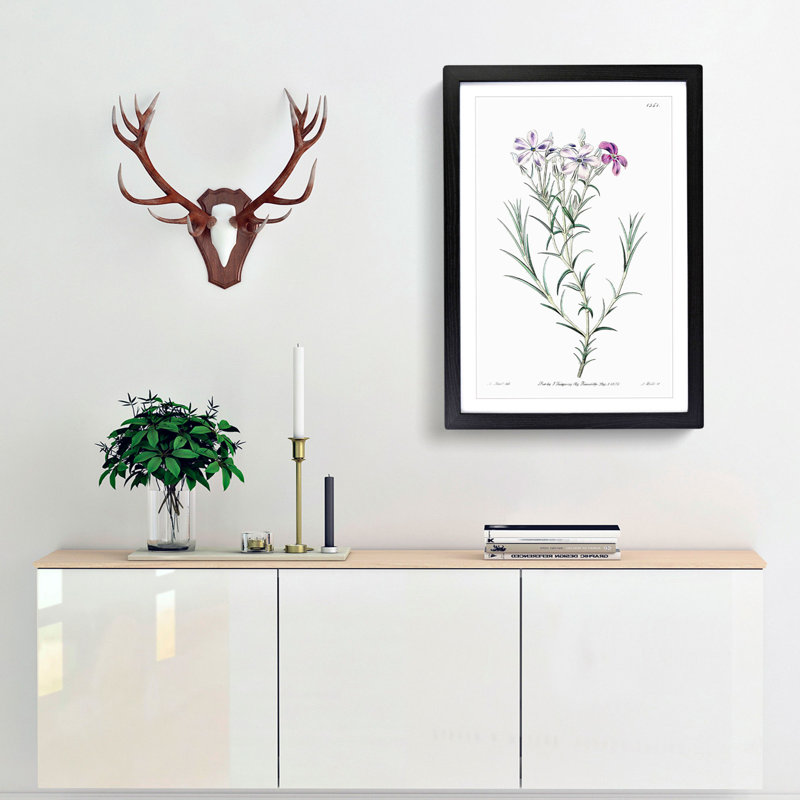 Purple Phlox Flowers - Framed Print, 48cm H x 36cm W x 2cm D, Black Framed