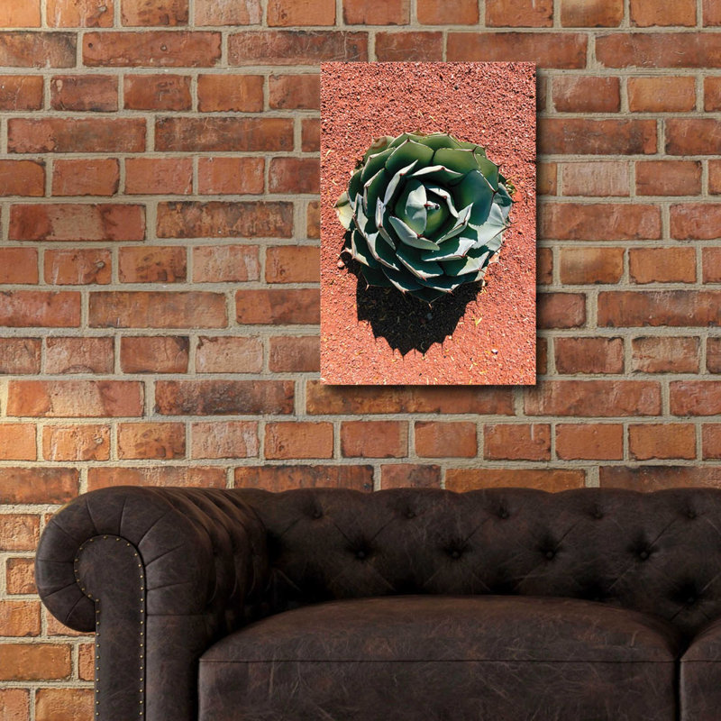 Dakota Fields 'Utah - Cactus 3' By Epic Portfolio, Acrylic Glass Wall Art, 12"X16", H 24 po x l 16 po x P 0,2 po
