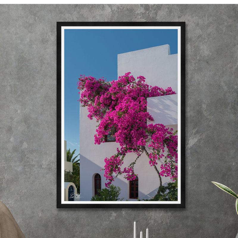 Bougainvillée grimpante I, H 42 po x l 29 po x P 1,5 po, Noir