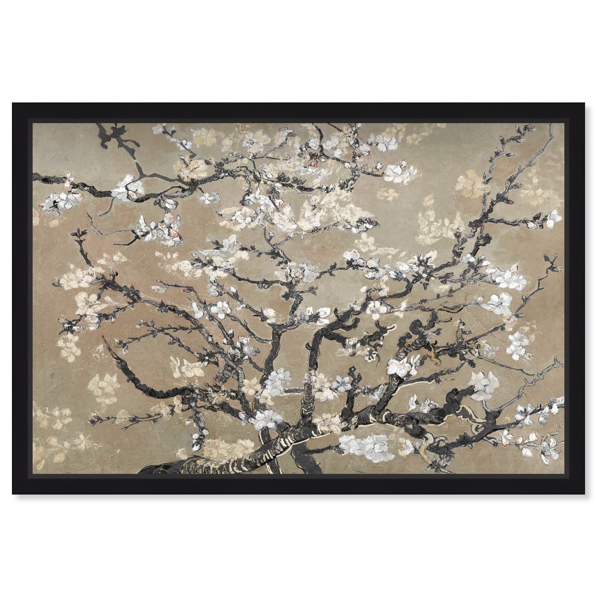 Oliver Gal Vincent Van Gogh Ivory Blossoms Inspiration Framed On