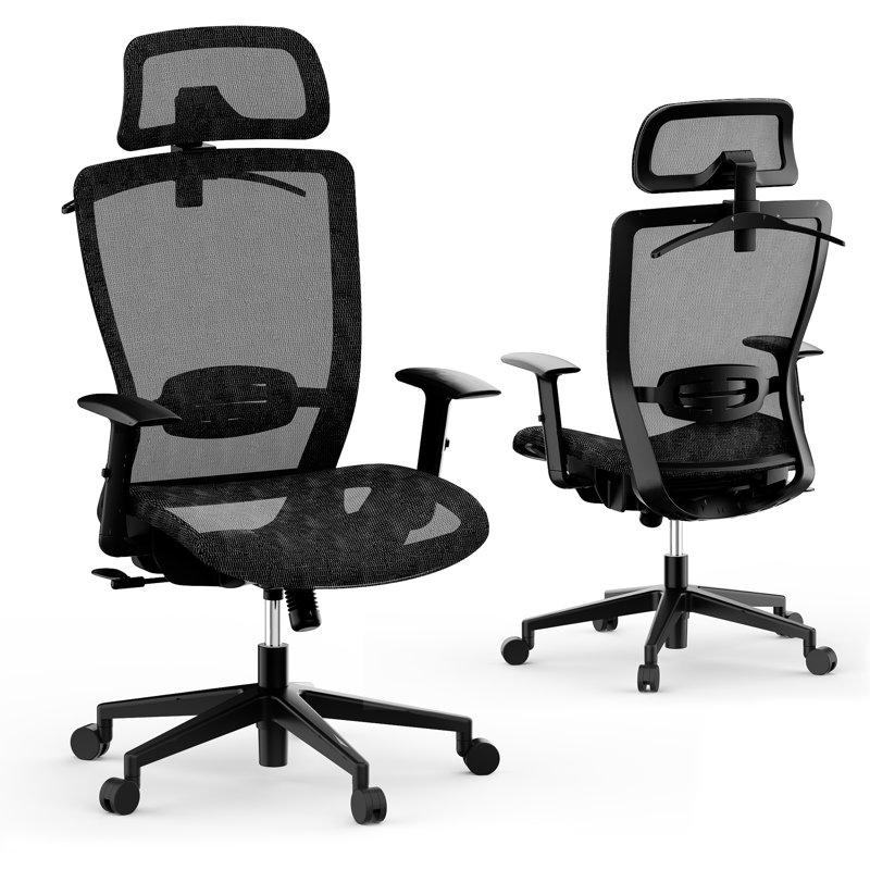 Myo Autonomous Chair Autonomous Shop Ai Myochair Royal Family Of