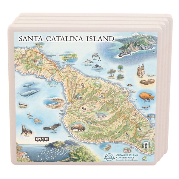 XPLORER MAPS Ceramic Square 4 Piece Coaster Set | Wayfair