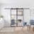 Metal and Glass Sliding Double Barn Door with Installation Hardware Kit (Soft-close Included)-98303719-100489299