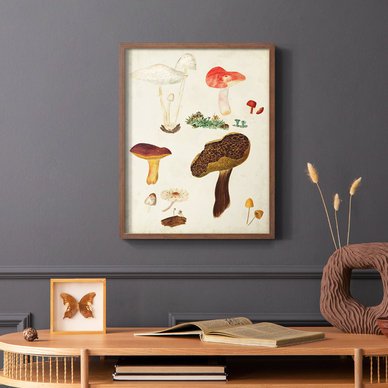 Reproduction encadrée de champignon Mushroom Species, Brun, H 14 po x l 11 po