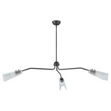 Hinkley Altman Chandelier