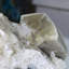 Grappe Powellite fluorescente