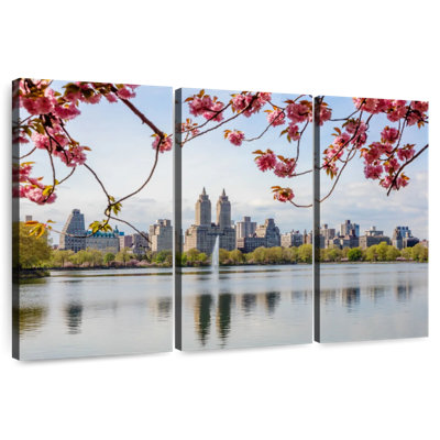 Sireci Central Park Cherry Blossoms