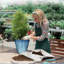 Pot Planter-517056949