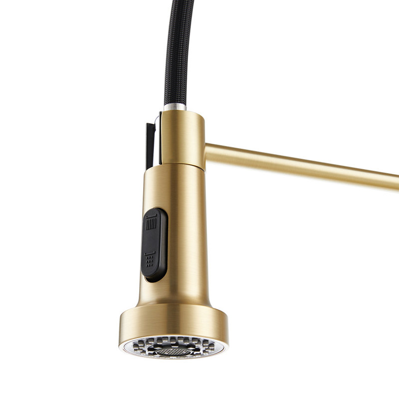 Fairmont Park Aajah Pull Down Kitchen Faucet