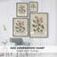 Pressed Arrangement II, reproduction encadrée - bois massif 49773-2083083142