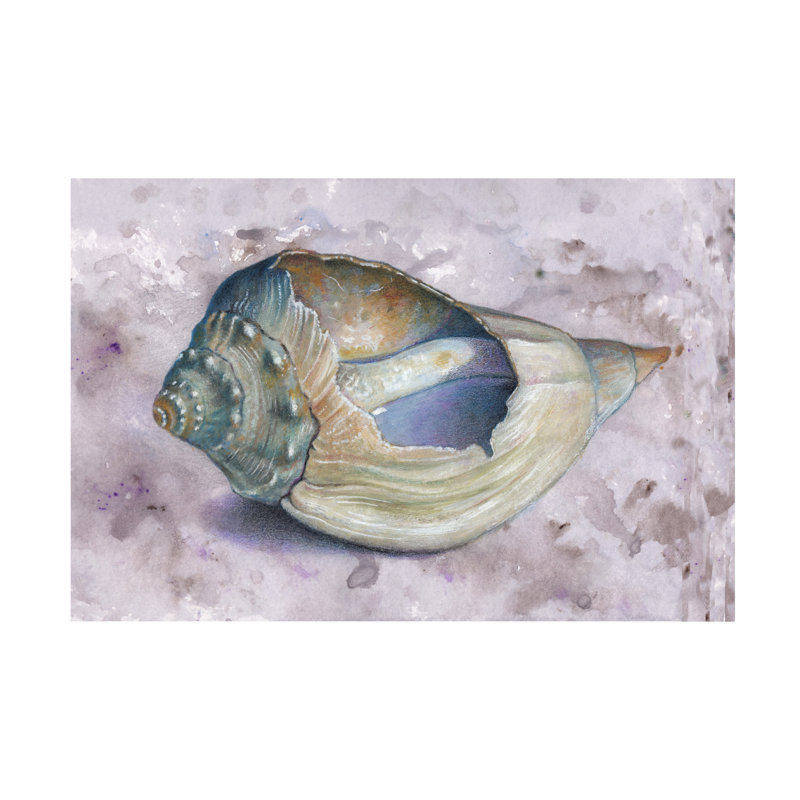 Donna Basile Conch Shell Canvas Art, 12" H x 19" W
