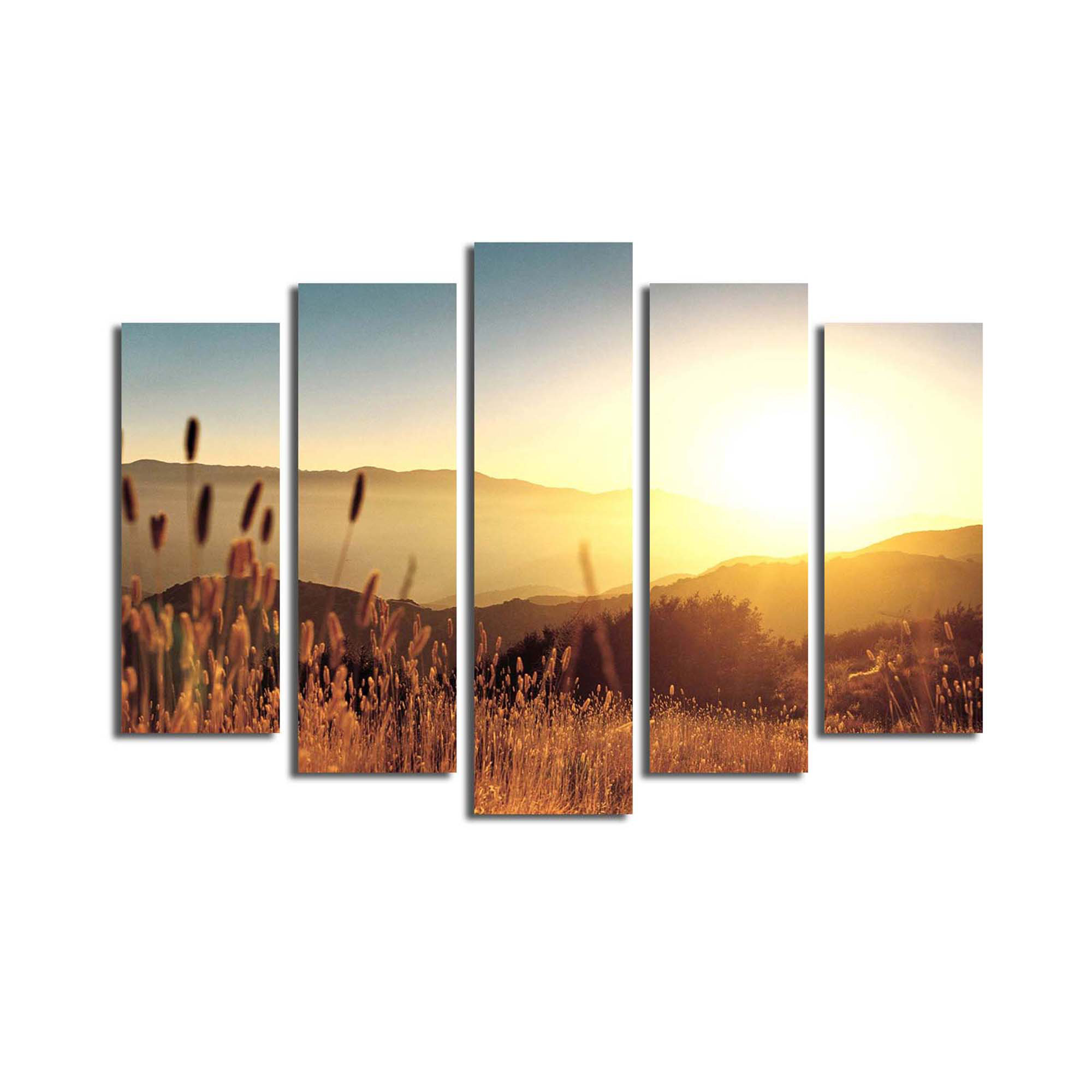 East Urban Home 5 Piece Wrapped Canvas Photograph Set | Wayfair
