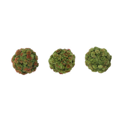 Boules de Sedum décoratives
