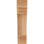 Corbeau Pescadero-1571285295-1571285246-1571285244