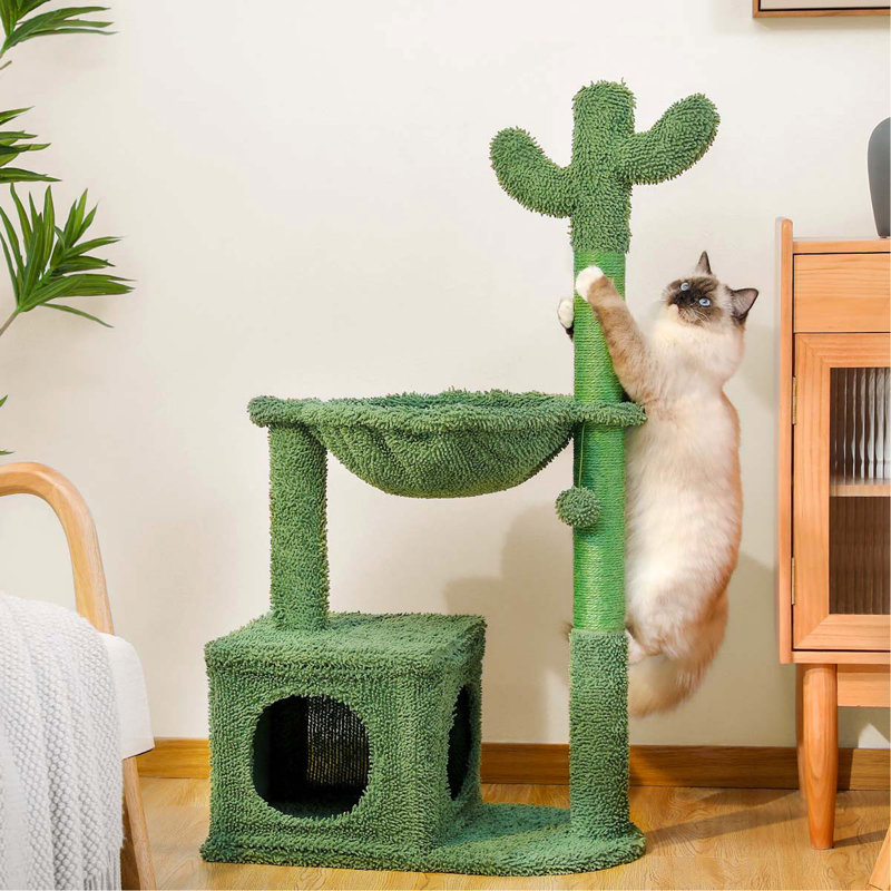 Grattoir à chat 4 en 1 Cactus