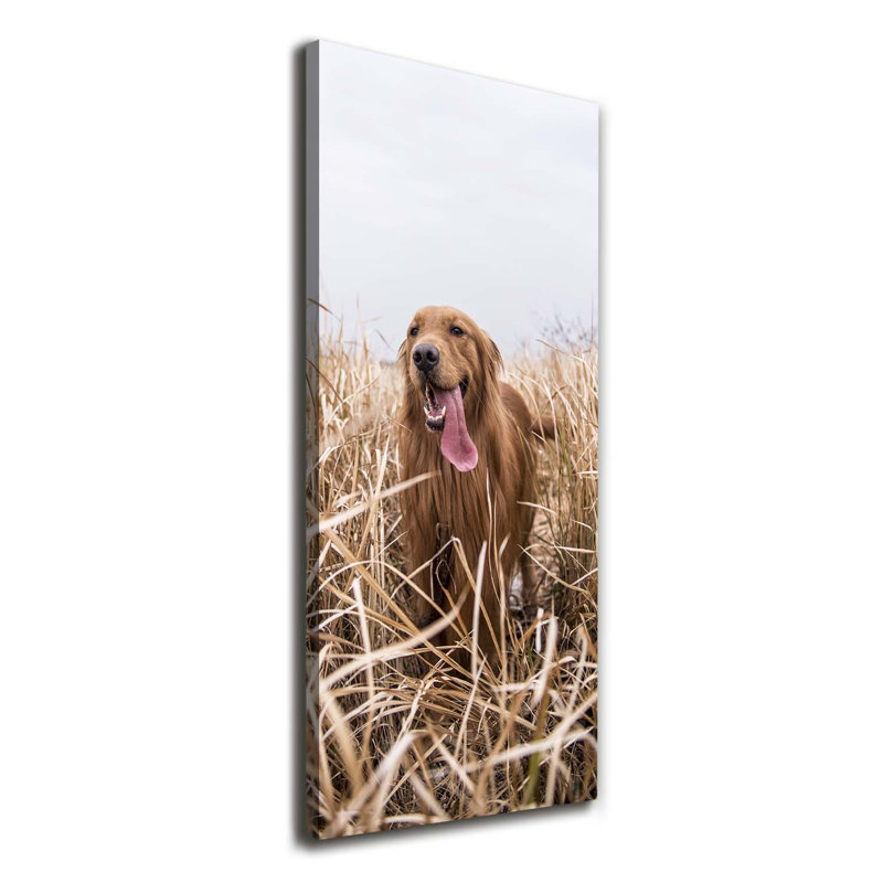 Golden Retriever - Wrapped Canvas Print