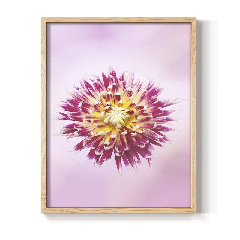 Exotic Flower Burst I, reproduction encadrée - bois massif, H 11 po x l 9 po