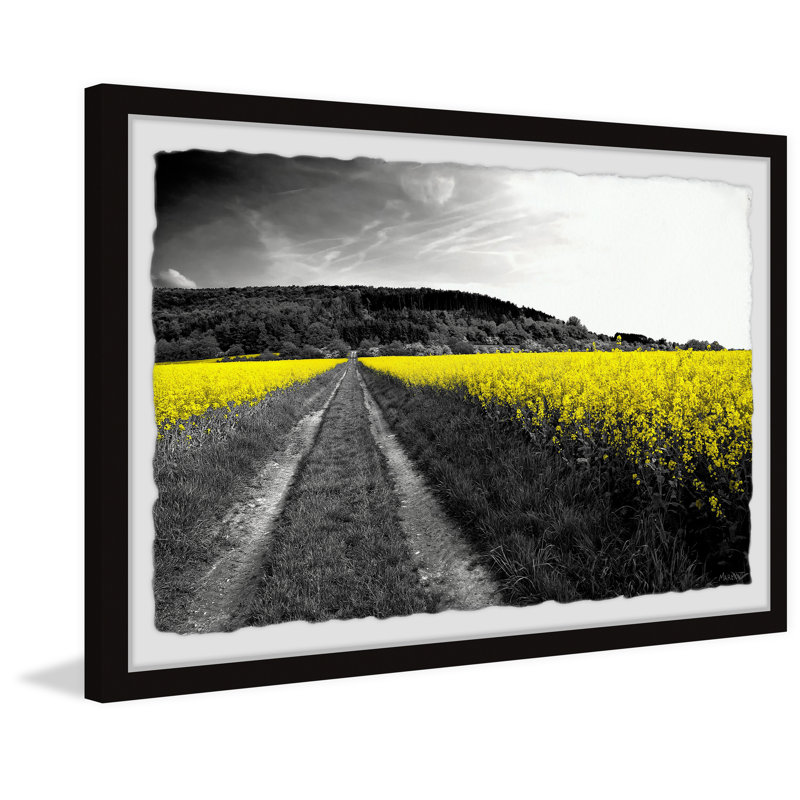 Wild Yellow Fields - Single Picture Frame Print, 38cm H x 45cm W x 3.81cm D