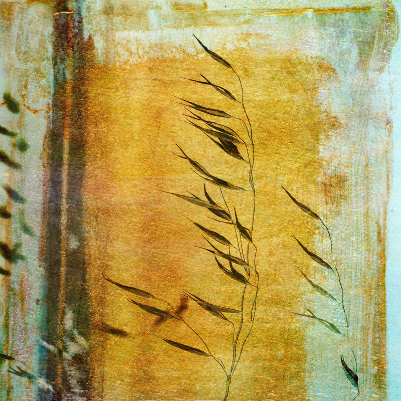 Sia Aryai - Wrapped Canvas Painting, 61cm H x 61cm W x 3.81cm D