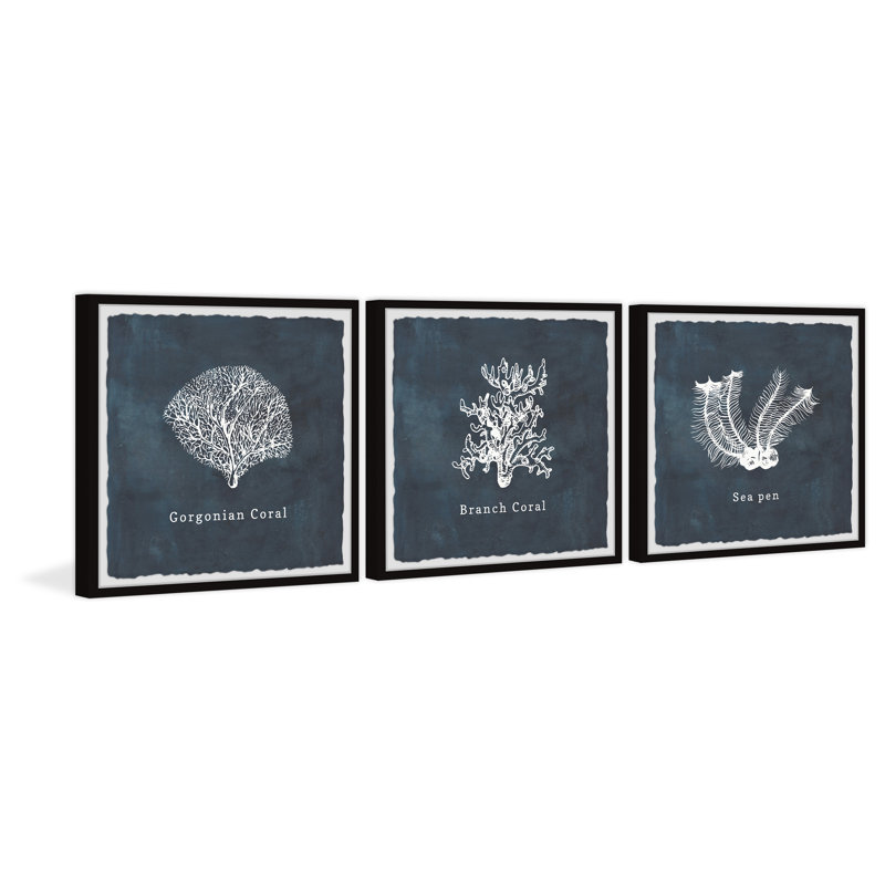 Gorgone corail triptyque