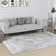 Oriental Area Rug