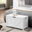 Coffre de rangement de couleur blanche, conception classique, charnières robustes, rangement polyvalent rétro dans la chambre à coucher, rangement, poignée en U, structure, convient au vestibule-130797179