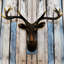 Décoration murale tête de cerf-1224668918