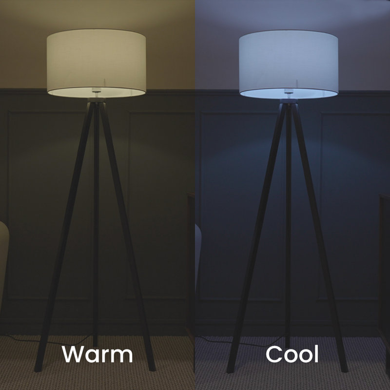 Equivalent E27/Medium (European) Dimmable 2200K LED Smart Bulb