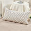 Chevron Rectangular Lumbar Cushion Cover-1572694094