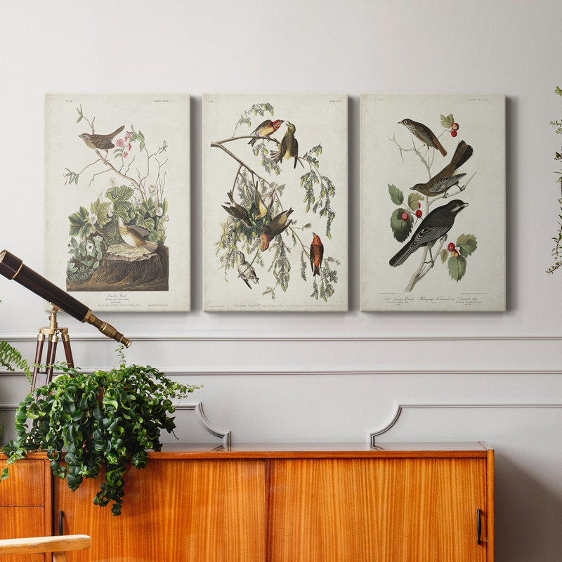 Pl 190 Lincoln Finch - ensemble de 3 impressions sur toile tendue, H 36 po x l 72 po x P 1 po