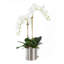 Real Touch Orchid Centerpiece in Pot