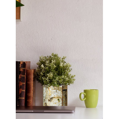 Vase en écorce de bouleau blanc avec intérieur en verre Loon Peak®