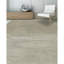 Area Rug in Gray