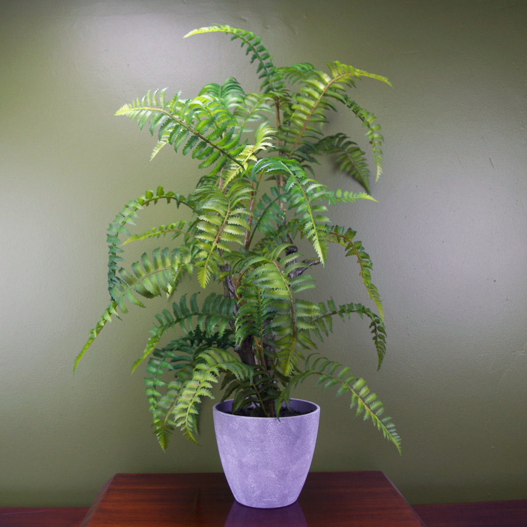 70Cm Artificial Tree Fern With Decorative Planter