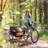 Elite 360 Swivel Bike Trailer for Kids Double Child Two-Wheel Bicycle Cargo Trailer With 2 Security Harnesses, Orange-117042442