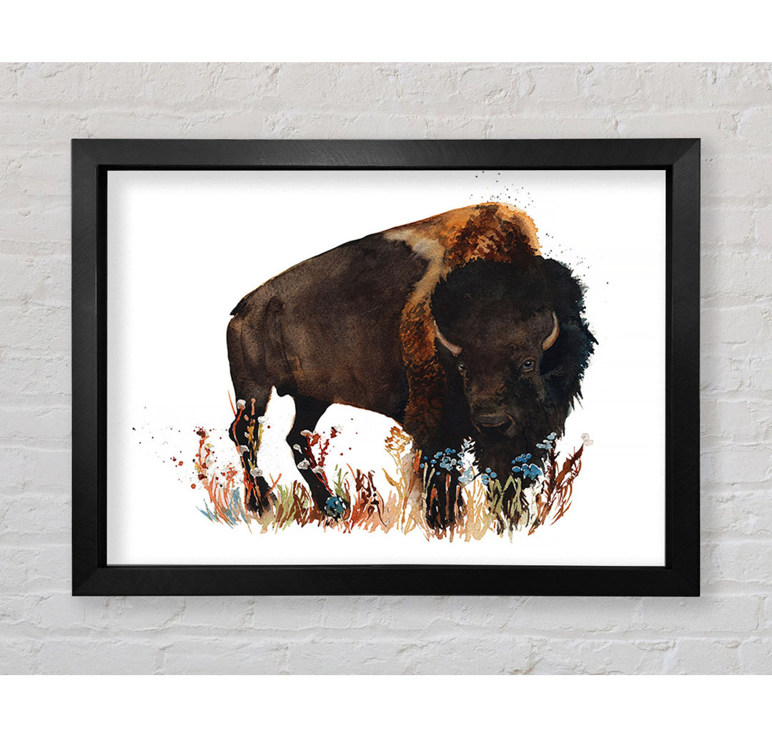 Bison Love - Einzelner Bilderrahmen Kunstdrucke