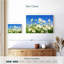 Alvord Daisies On A Sunny Day-107686881