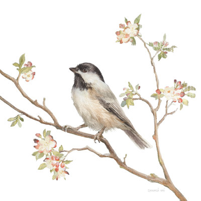Black Capped Chickadee V2 On White by Danhui Nai - Wrapped Canvas Painting