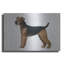 «Airdale Terrier» par Harro Maass-2068969984