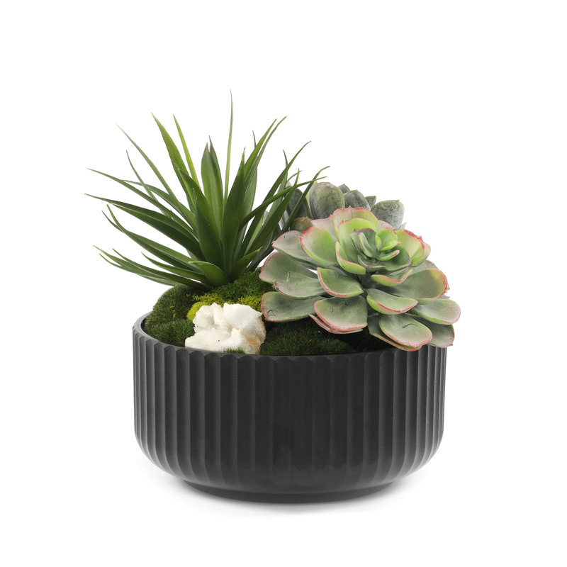 9'' Faux Succulent in Pot