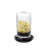 Sprouting Jar - Bivita