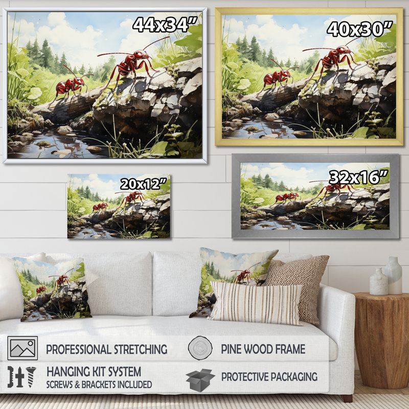Ant Tiny Explorers II, reproduction d'art sur toile, Cadre flottant noir, H 12 po x l 20 po x P 1 po