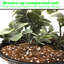 Sac de 4 pieds cubes de perlite