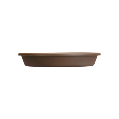 Saucer Plant Stand