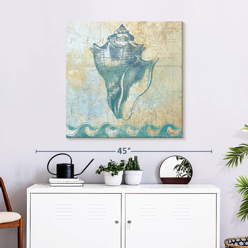 Aletra Conch Treasure, 30'' H x 30'' W