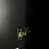 Black est en rupture de stock