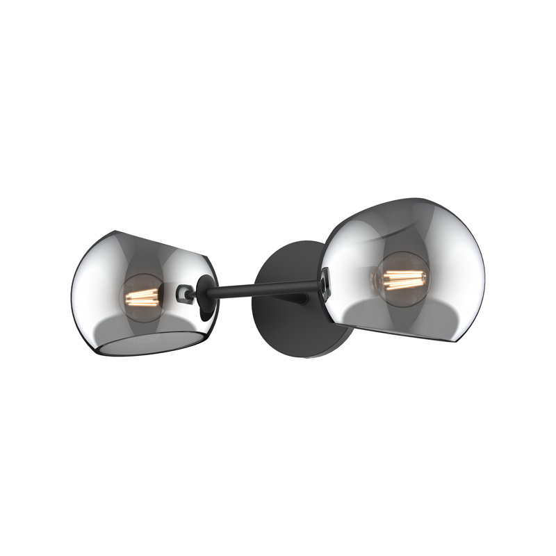 Matte Black Two-Light Vanity with Smoked Glass Shades