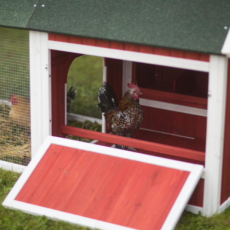 Pavlof 22.2 Square Feet Chicken Coop with Chicken Run For Up To 6 Chickens