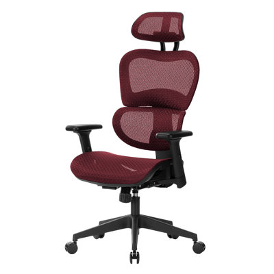 Nouhaus Ergo3dL Home Office Desk Chairs Ergonomic Office Chair High-Back Mesh Rolling Work Chairs with Wheels and Adjustable Headrests Comfortable Lumbar Support Adjustable Armrests